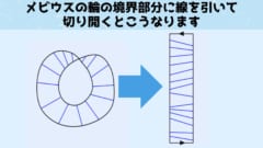 メビウスの輪を切り開く