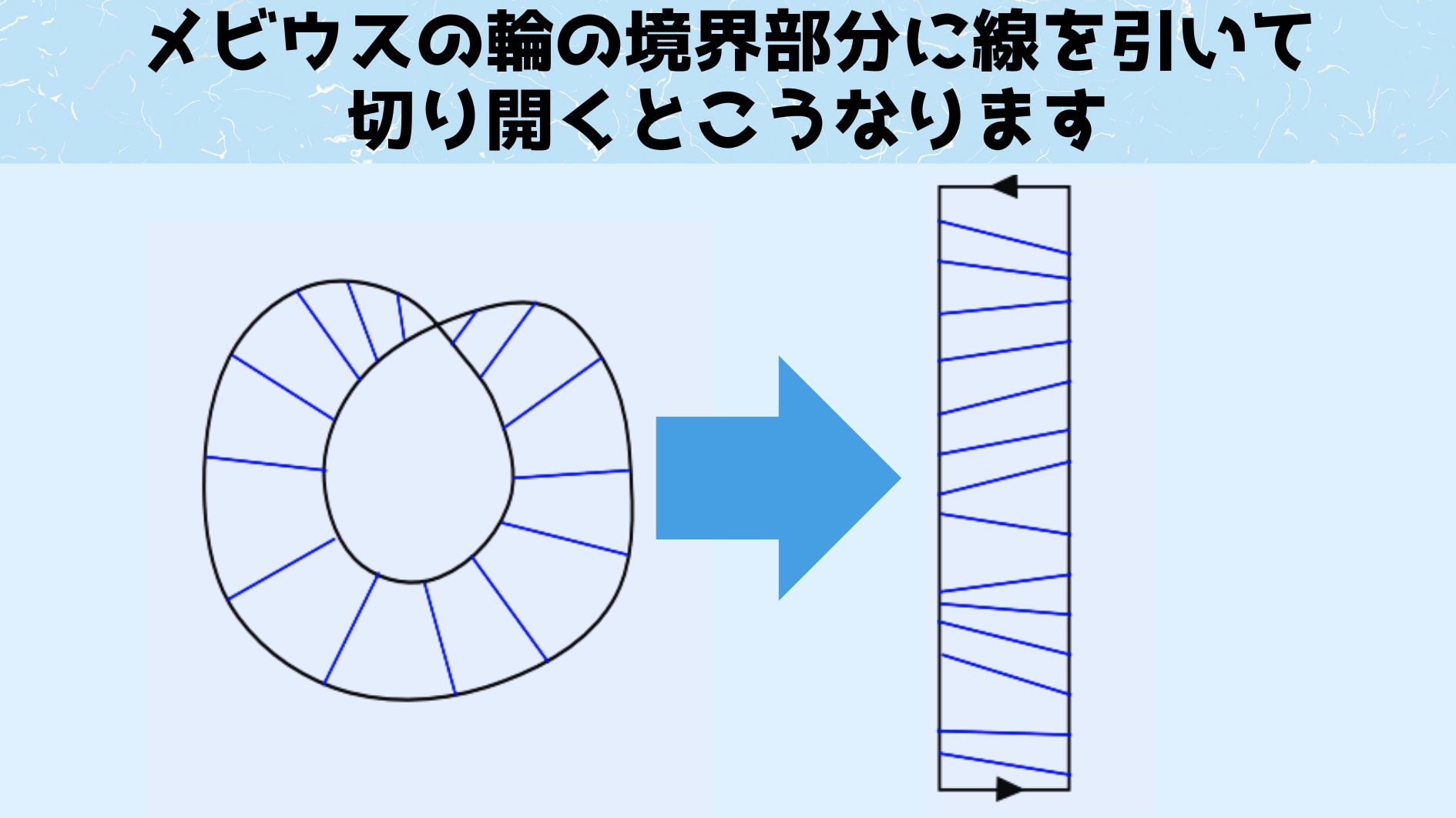 メビウスの輪を切り開く