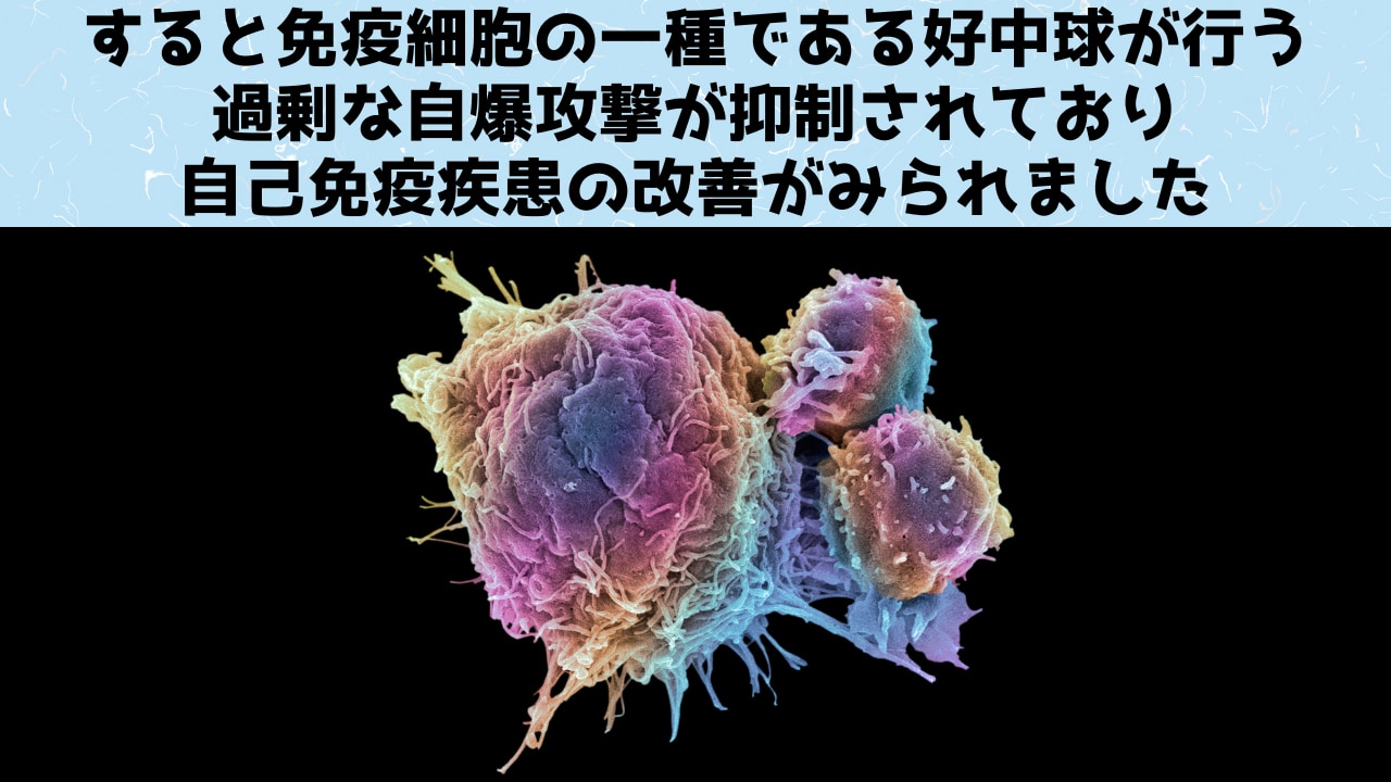 免疫機能が誤作動し、過剰な自爆が健康な細胞に対して行われるとしばしば症状が重症化し命にかかわります。