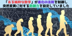 「数学」が進化の法則を制御していたと判明！の画像 1/5