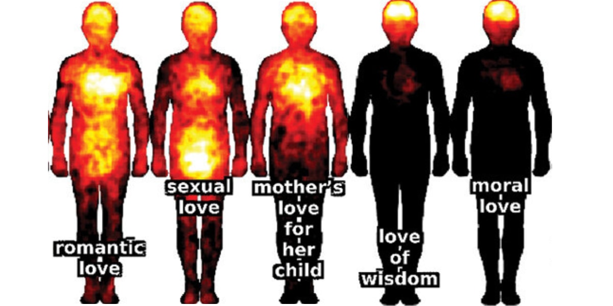 愛の身体マップ。活性化される部位は主観的に大きく異なる