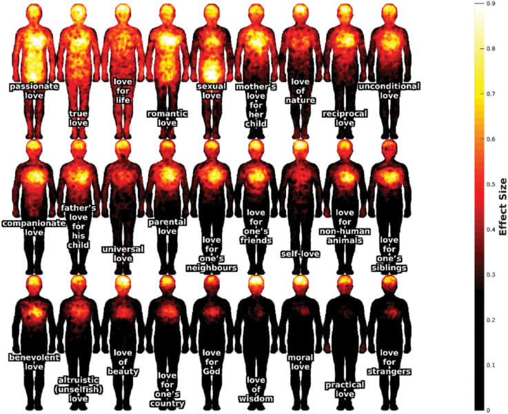 愛のタイプ別「身体マップ」。黄色になるほど人々は活性化されたと感じている