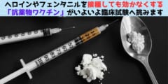 ヘロインなどを効かなくする「抗薬物ワクチン」がいよいよ臨床試験へ