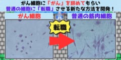 がん細胞を「普通の細胞」に転職させる新たな方法を開発！