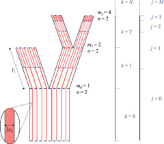 論文に報告された維管束ネットワークの図解。黒線が幹、赤線が導管、青線が分岐位置を示す。枝分かれの世代が進むほど導管の合計率は増加している。