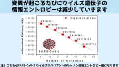 ウイルスの変異も情報エントロピーを減少させます