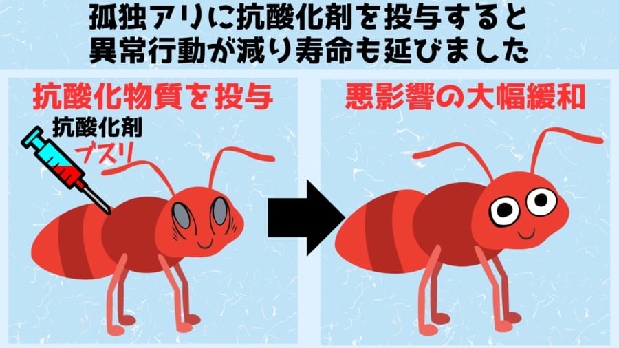 孤独の苦しみを和らげるには抗酸化物質を投与するといい