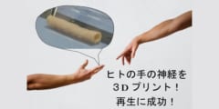 ヒトの神経を3Dプリントし移植後に「知覚を回復」させることに成功！の画像 1/5