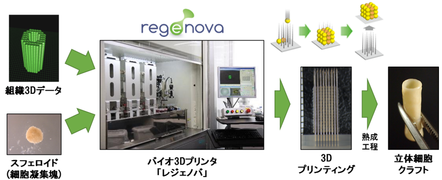 サイフューズ社の剣山システム