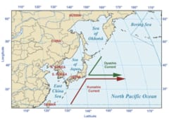 黒潮（赤）と親潮（緑）の海流ライン