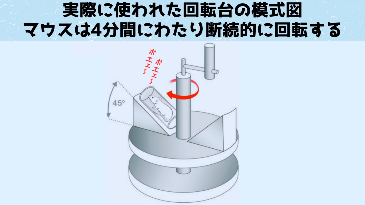 実際の実験器具。倫理委員会の審議を経て使用許可が下りています。