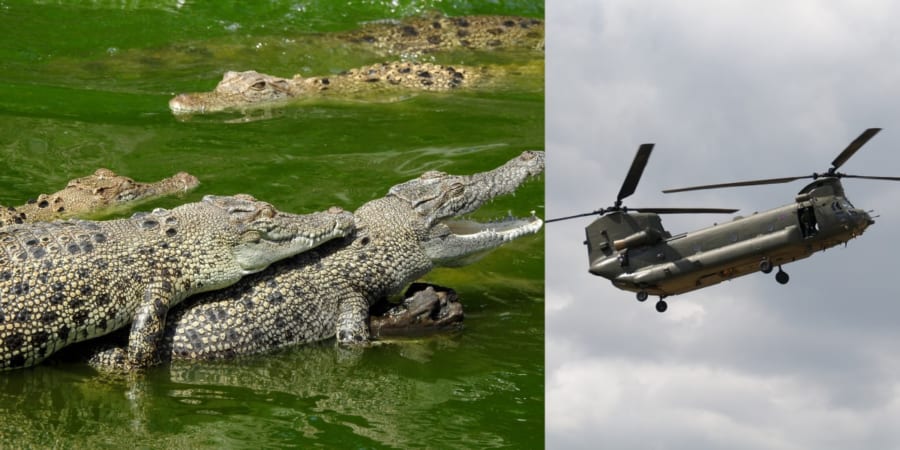 低空飛行ヘリコプター ヘリコプターが低空飛行をするのはなぜ？警察・米軍・医療飛行の