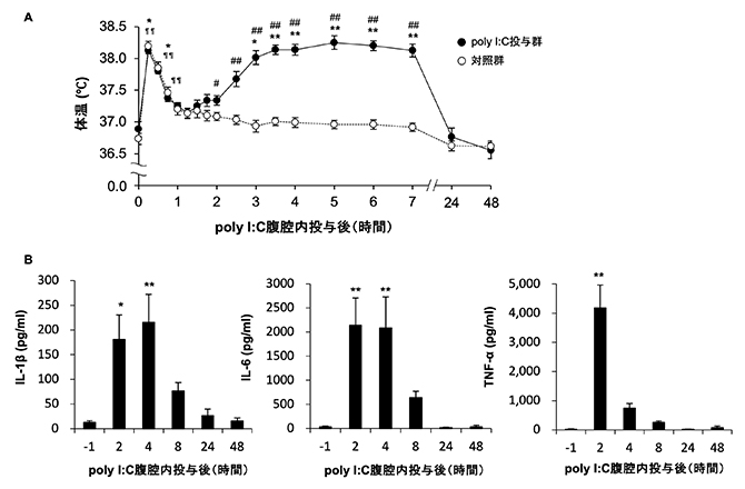 ラットの疑似感染に伴う症状（A:体温変化、B:3種の炎症性サイトカインの血中濃度）