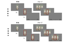 実験で用いられた身体の写真。