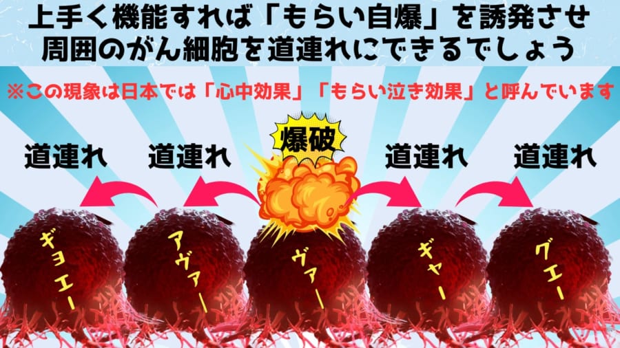 がんの細胞死を活性化させる「自爆スイッチ」を特定することに成功！