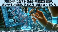 遺伝子をコードしていないイントロンとゲノム寄生虫である反復配列を削除し、DNAの安定化を目指しました