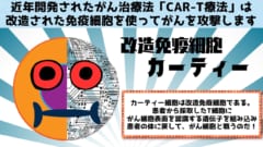 がんの細胞死を活性化させる「自爆スイッチ」を特定することに成功！