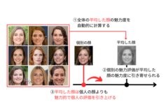 複数の顔を同時に見ると、全体の顔の平均を自動的に計算し、個々の魅力度評価がその平均に引き寄せられ高くなる。平均化した顔は個別の顔をグレースケール化と透過し重ね合わせて作成。この方法は複数の顔の平均した顔を作成するときによく用いられる。