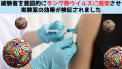 実際にデング熱ウイルスに「被験者を感染」させて新薬の効果を検証！の画像 1/6