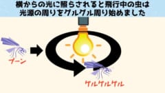 第1位：実は未解明問題「虫が光に引き寄せられる理由」がついに判明！