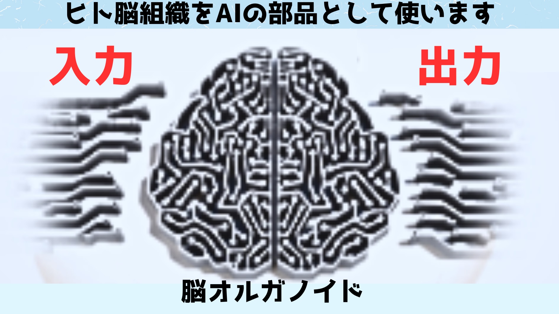 人工培養脳をチップに融合させ「ひらめき」で考えるバイオAIを開発！の画像 2/6