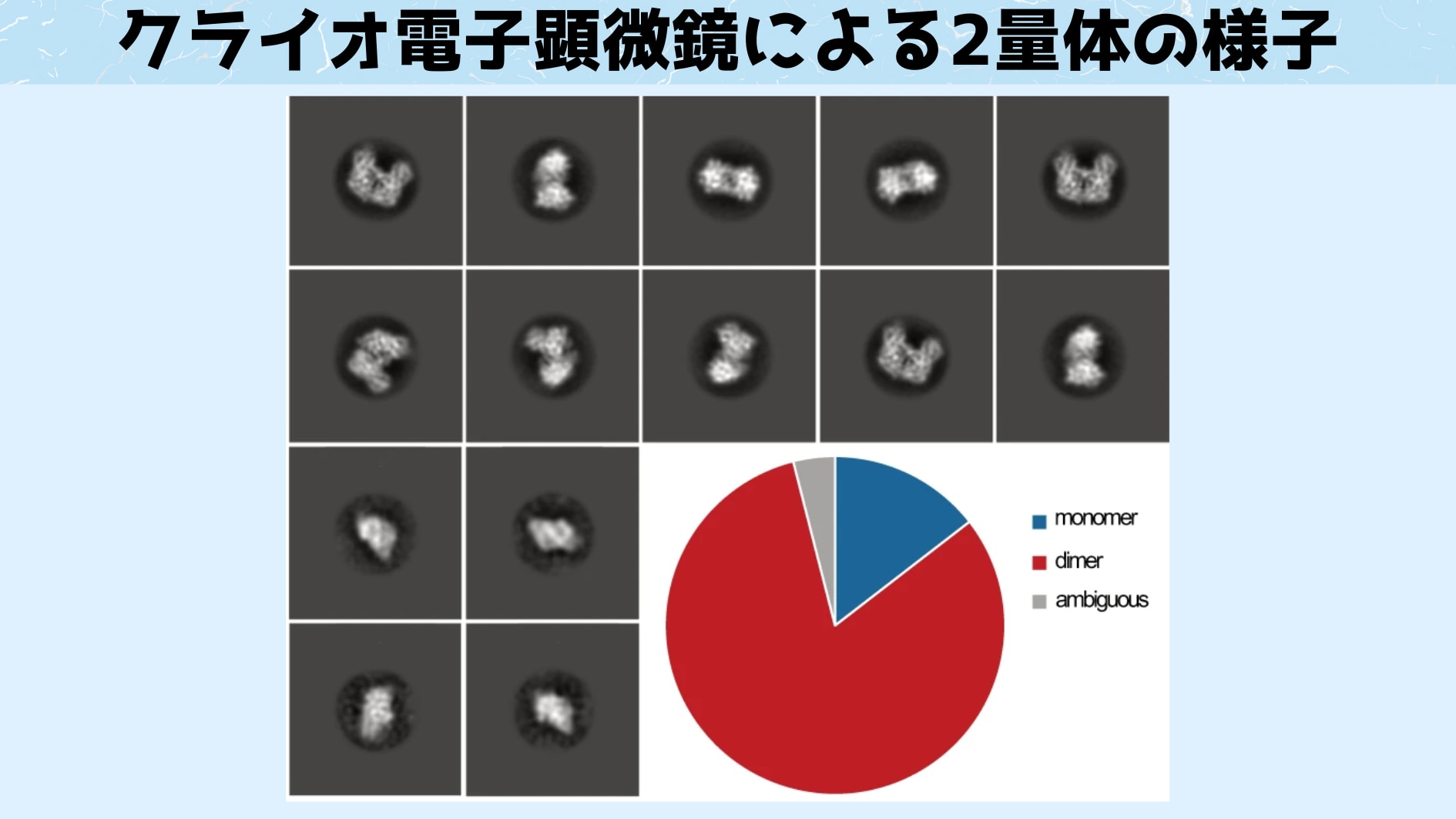 月の光だけを検知できる生物の特殊な光システムを解明！