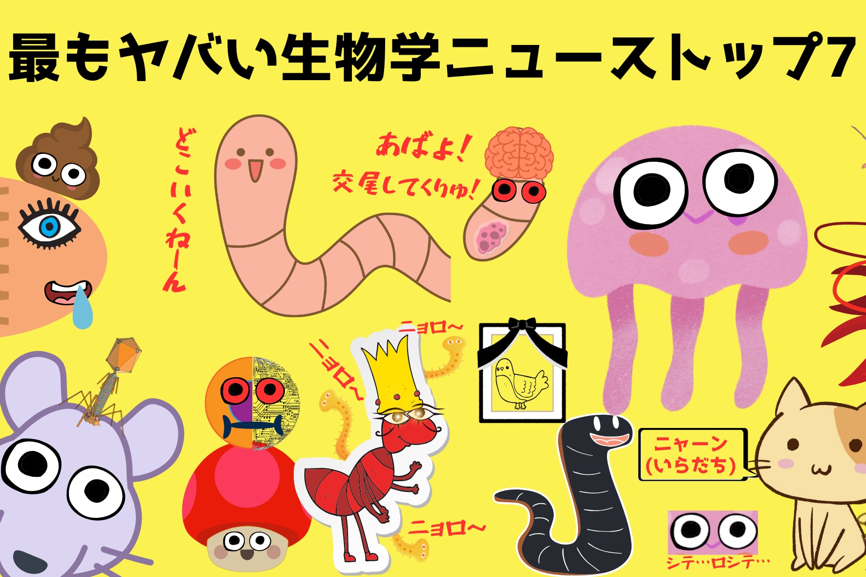 3a16401ac86e1a57ba83bcb50786d0