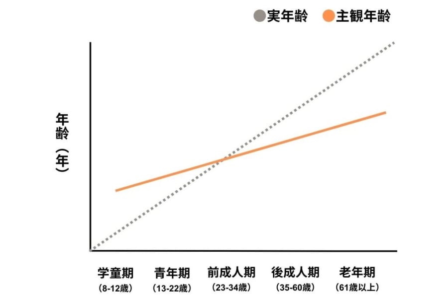 実年齢と主観年齢の関係性