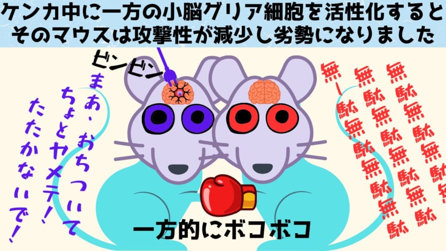 小脳を操作し攻撃性を抑えることで「平和な未来が現実」するかも