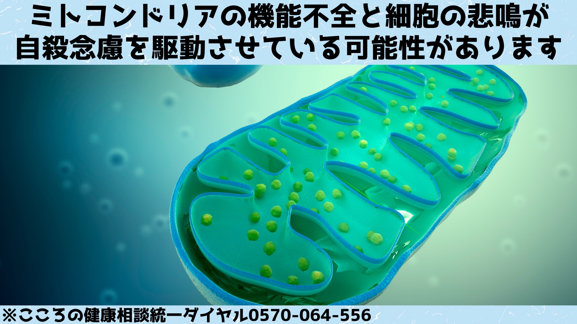 男女別の血液検査で「自殺したい人」を90%の精度で判別することに成功！