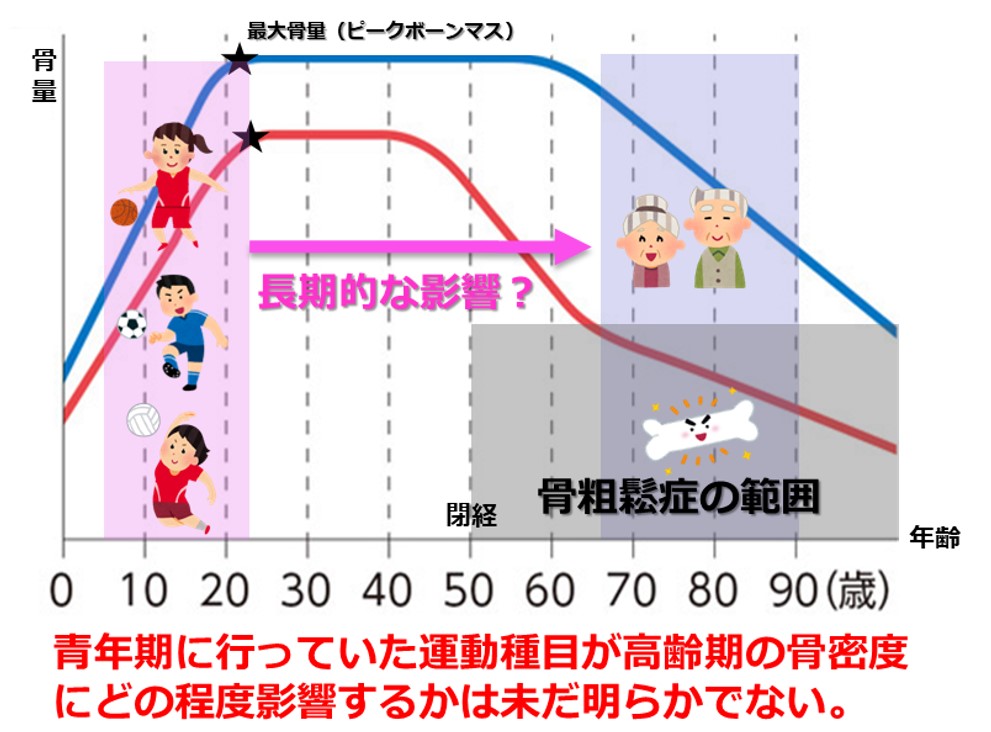 青年期にやっていた種目の違いが高齢期の骨密度に影響するのか？