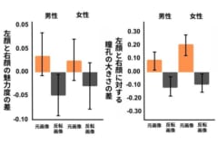 実験の結果を改変。元画像は０より上、反転画像は０より下なら、顔の左側の画像をより美しいと感じ、瞳孔が拡大したことを意味する。