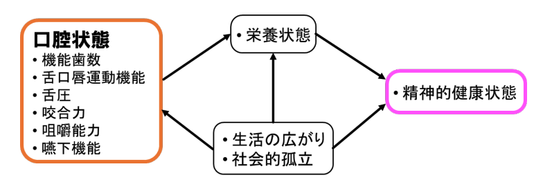 口の状態の良さは栄養状態は社会交流の高さを介して、メンタル面の健康に繋がる