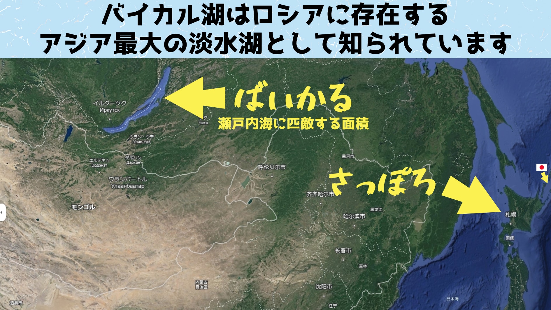 淡水プランクトンも「磯の香り」の元になる化合物を作っていたと判明！