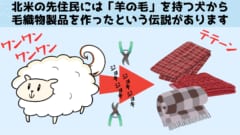 伝説にある「羊の毛」を持つ犬が実在したと判明！