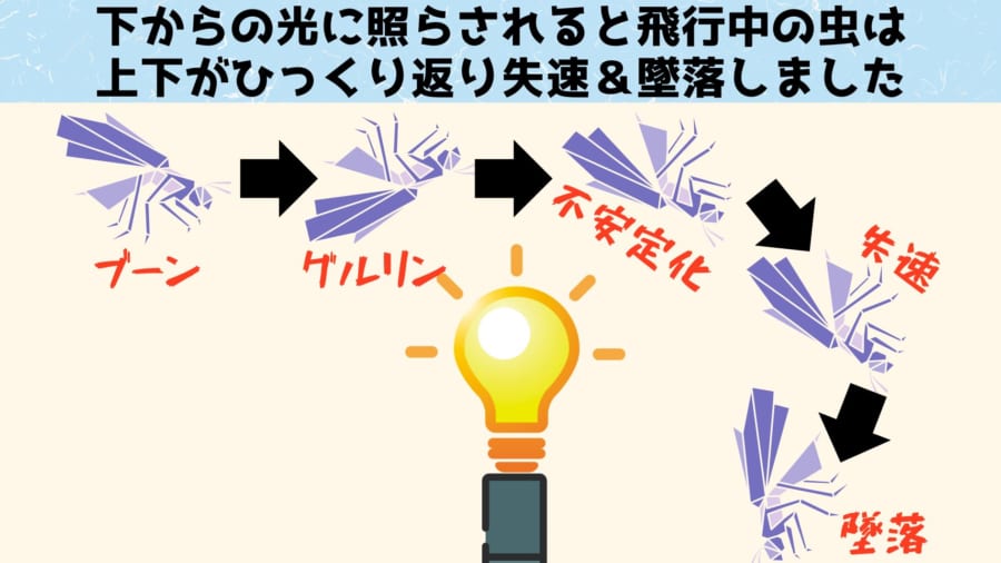 第1位：実は未解明問題「虫が光に引き寄せられる理由」がついに判明！