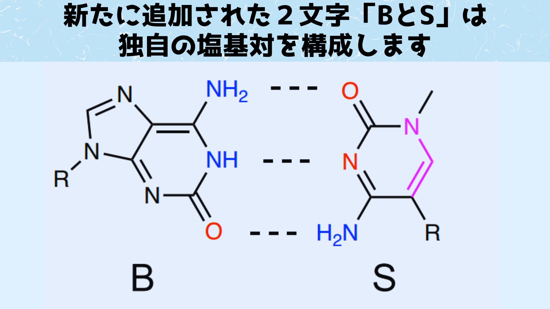 新たな2文字をDNAの中に紛れ込ませて酵素を騙す