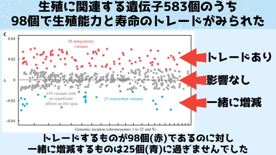 出生率を高める遺伝子は寿命を縮めると判明！