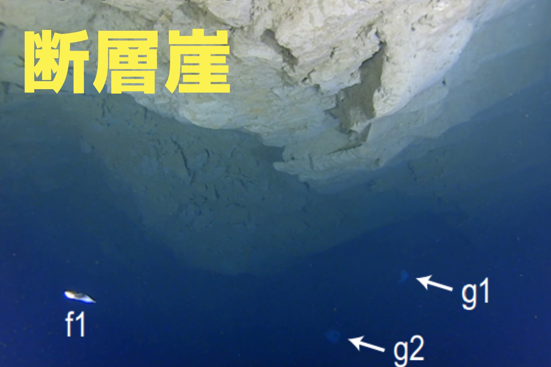 東日本大震災で日本海溝底に生じた断層崖を世界で初めて発見! - ナゾロジー