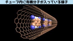 チューブ内部には有機分子が入っており電気特性を制御できる