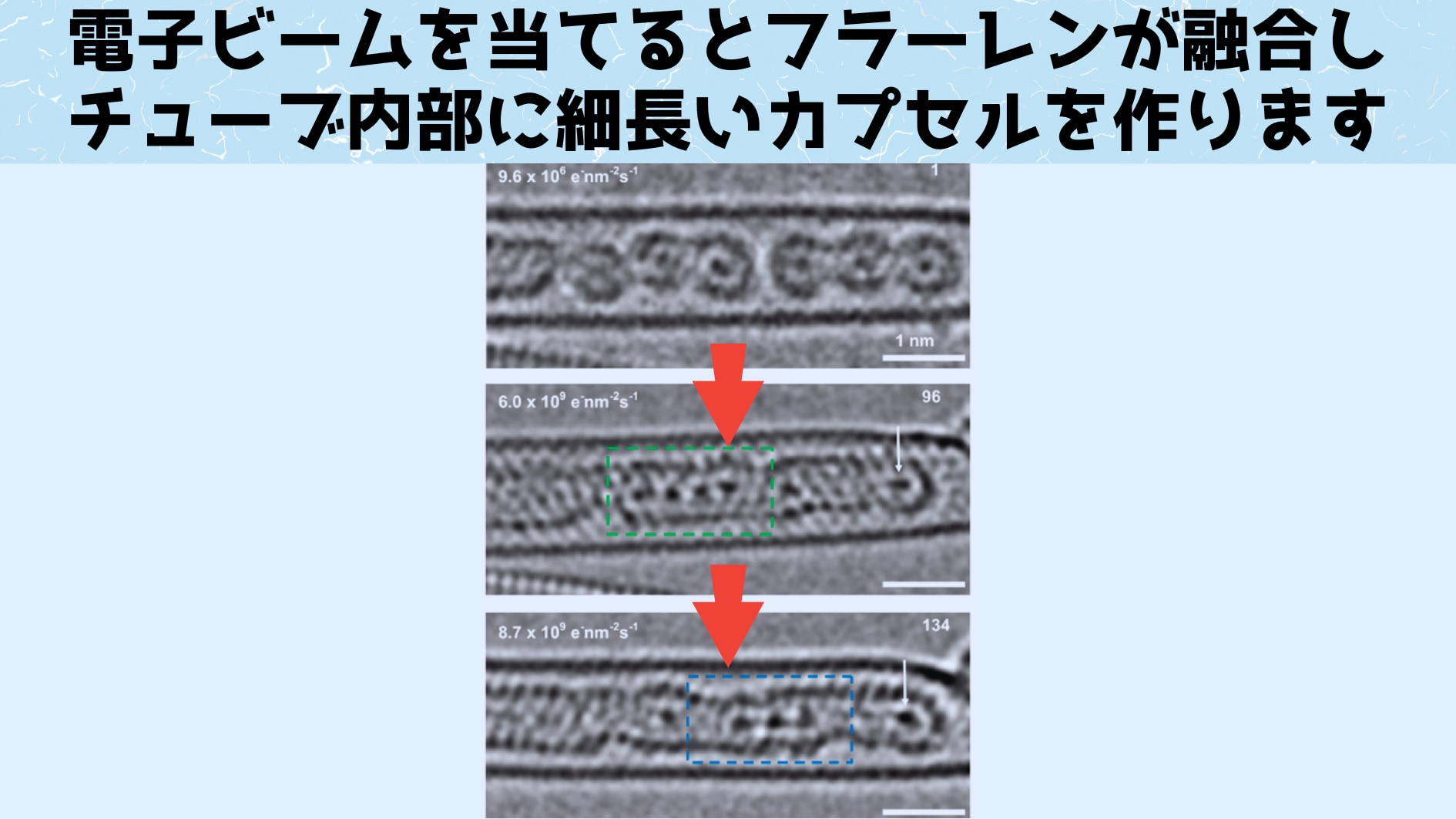 原子を小さな管に閉じ込めた「一次元気体」を視覚的に捉えることに成功！