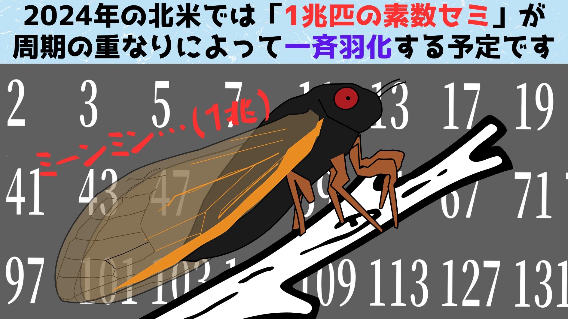 今年「1兆匹の素数セミ」が周期の重なりによって一斉羽化する