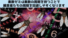 今年「1兆匹の素数セミ」が周期の重なりによって一斉羽化する