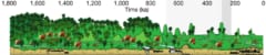 180万〜20万年前における森林景観とギガントピテクスの個体数の変化を再現したもの