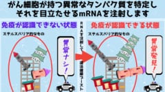 がん細胞の異常なタンパク質が沢山生産されるようになると、免疫システムはより強く異物として認識し、がん細胞のステルス能力を打ち破ることが可能になります。なおバリアはSF的なものではなくがん細胞のステルス能力を表現するためのイメージとなります。