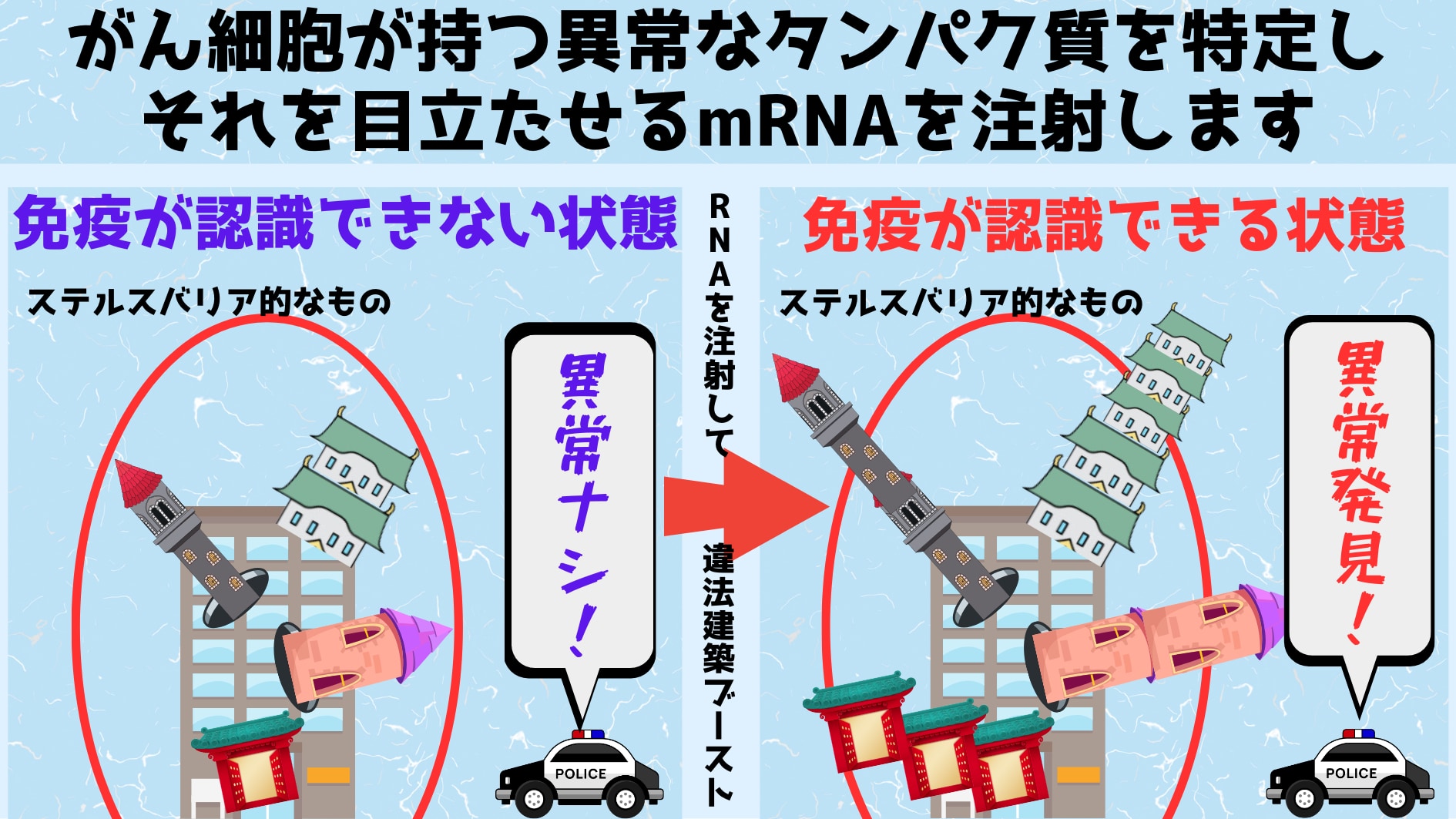 がん細胞の異常なタンパク質が沢山生産されるようになると、免疫システムはより強く異物として認識し、がん細胞のステルス能力を打ち破ることが可能になります。なおバリアはSF的なものではなくがん細胞のステルス能力を表現するためのイメージとなります。