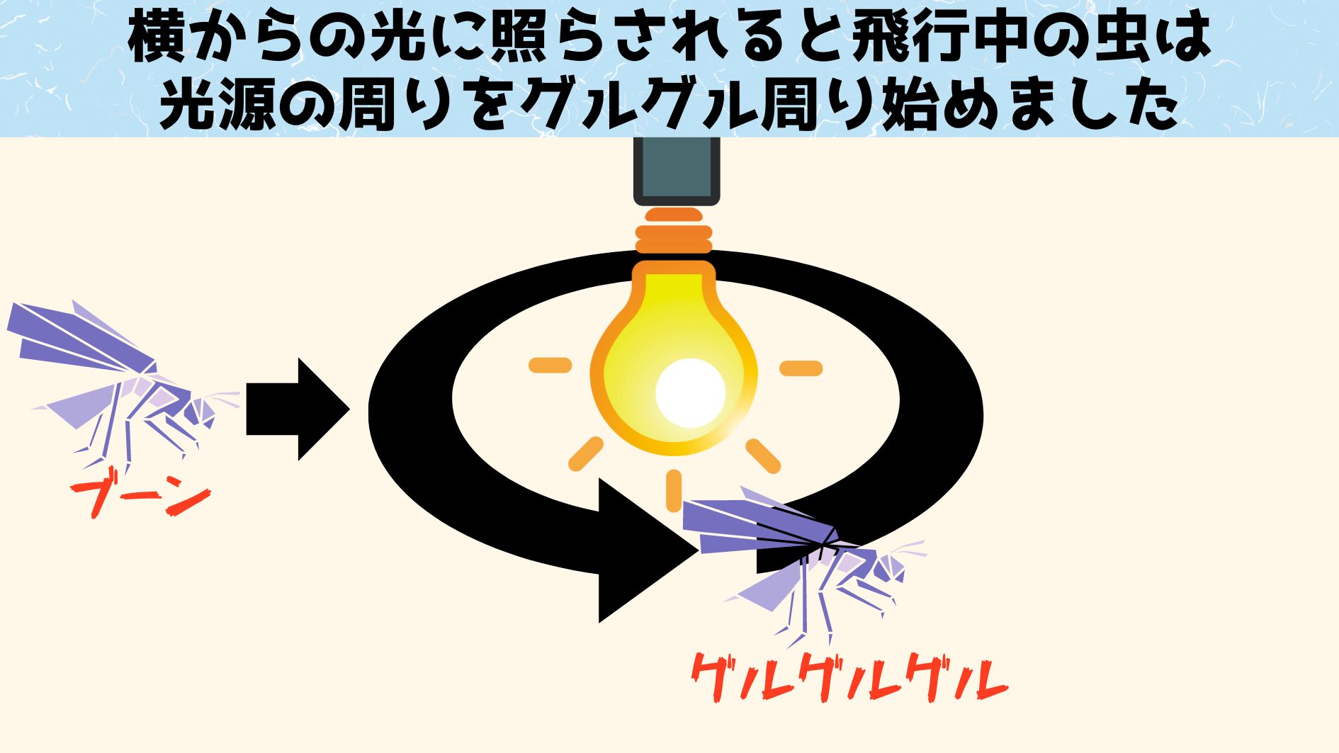 光に突撃するなら周回するのは矛盾します