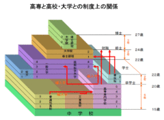 中学卒業後に続く高等教育の分類