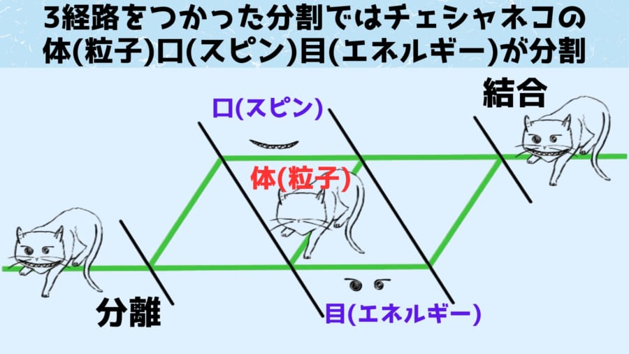 猫は干渉計内で 3 つの異なる部分に分かれています。猫の各部分は、スピン (笑顔)、粒子 (体)、エネルギー (目) の中性子特性に対応しています。実験中に適用された弱い相互作用に対する反応は、中性子の性質が分離されているという認識につながる可能性があります。