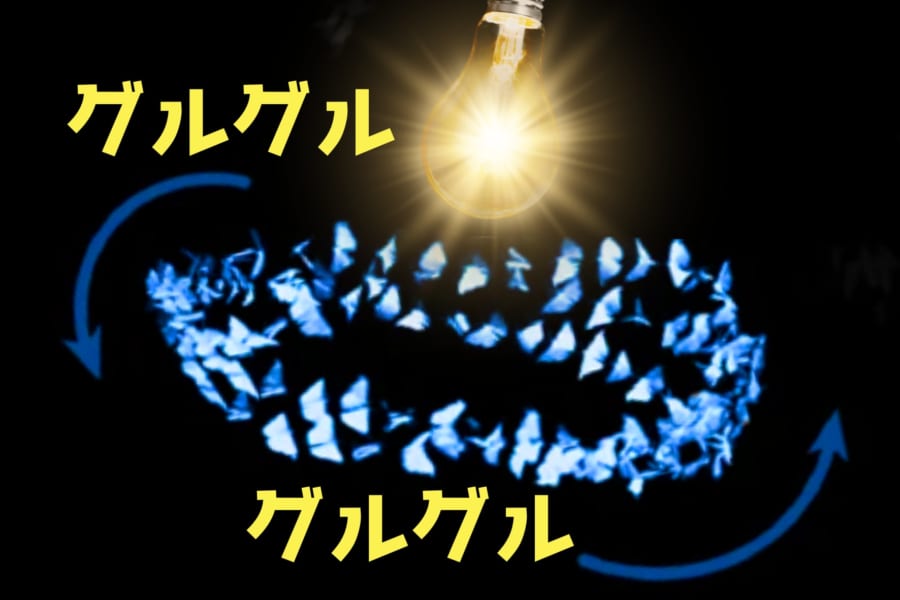 夜の虫たちは「光に集まっているつもりはなかった」と判明！